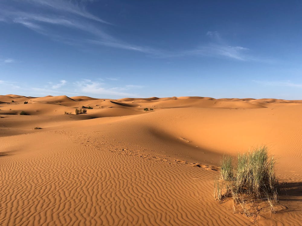 Traversing the Sahara: Adventures in Endless Sands