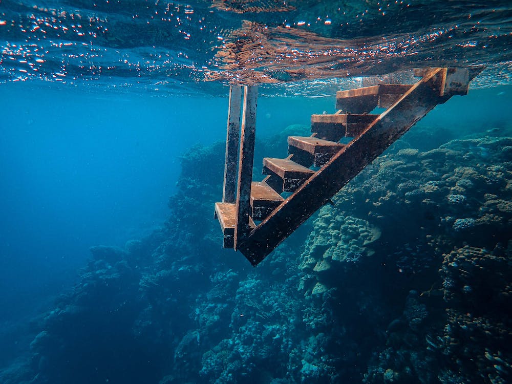 Diving into the Unknown: Exploring Underwater Wonders