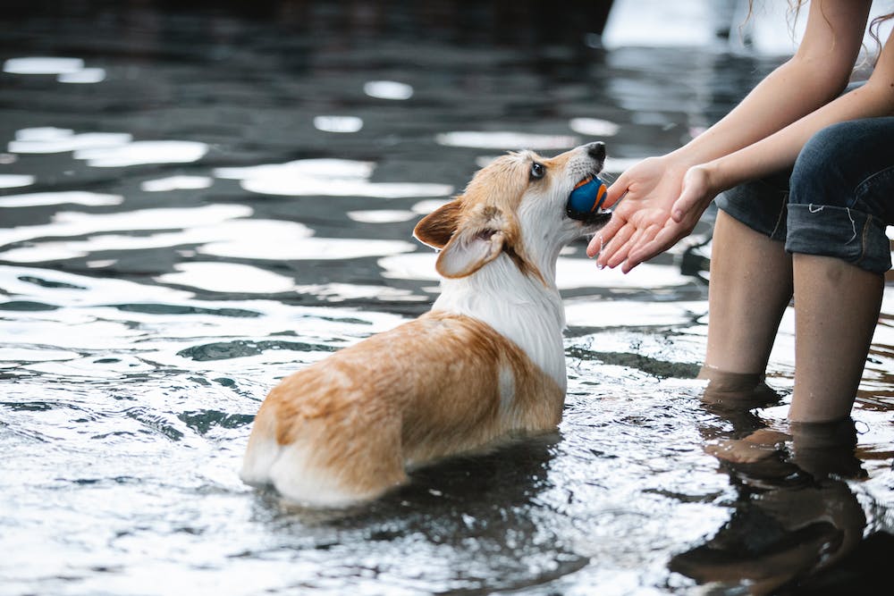 The Ripple Effect: How Small Acts of Kindness Can Change the World