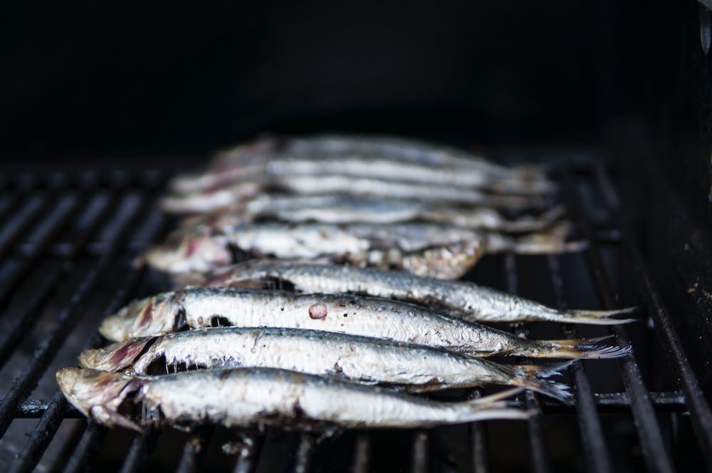 Seafood Sensations: Cooking with the Freshest Catches of the Day