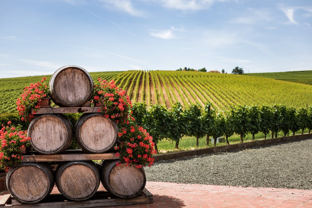 Wine Tasting and Vineyard Adventures: Discovering the World’s Best Wineries