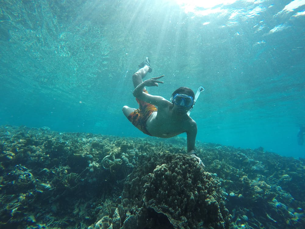 Exploring Caribbean Coral Reefs: Snorkeling and Diving Adventures