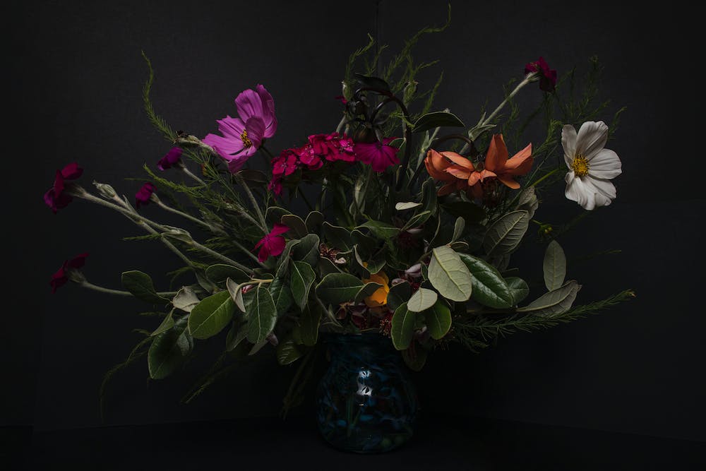 The Art of Still Life: Creating Beautiful Scenes from Everyday Objects